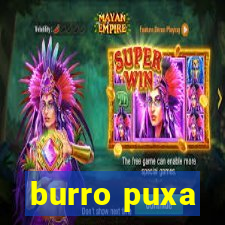 burro puxa